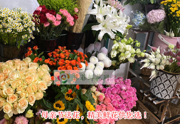 2024莆田城厢区母亲节送花,莆田城厢区精美鲜花供您选!